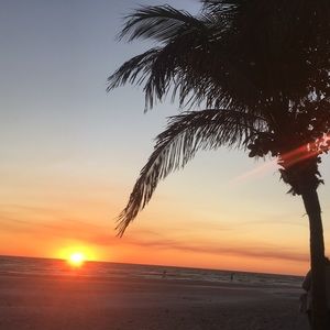 Meet your Posher, Amelia